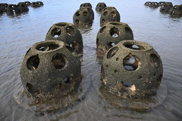 Những quả cầu đá nhân tạo ven biển California giúp chống xói mòn bờ biển do mực nước biển dâng cao - Ảnh 1.