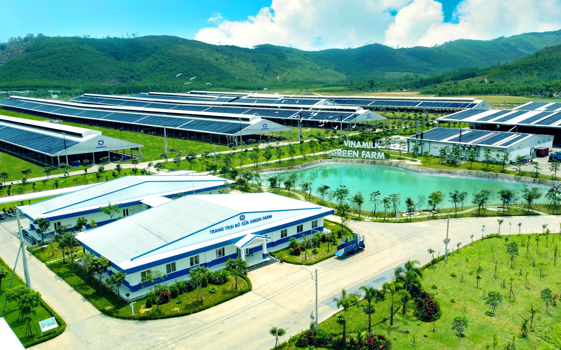 B&agrave; Mai Kiều Li&ecirc;n n&oacute;i g&igrave; về &ldquo;Sữa học đường&rdquo; v&agrave; triết l&yacute; ph&aacute;t triển bền vững của Vinamilk? - Ảnh 1.