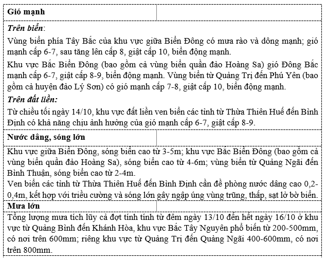 Từ chiều tối 14/10, ven biển Thừa Thiên Huế đến Bình Định sẽ có gió mạnh cấp 6, giật cấp 9 - Ảnh 4.