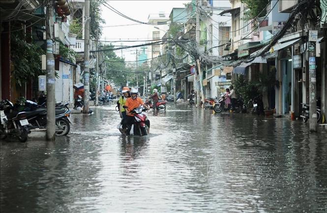 TP Hồ Chí Minh nhiều đường ngập sâu vì triều cường - Ảnh 1. TP Hồ Chí Minh nhiều đường ngập sâu vì triều cường - Ảnh 1.