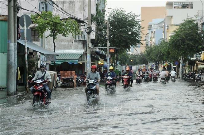 TP Hồ Chí Minh nhiều đường ngập sâu vì triều cường - Ảnh 2. TP Hồ Chí Minh nhiều đường ngập sâu vì triều cường - Ảnh 2.