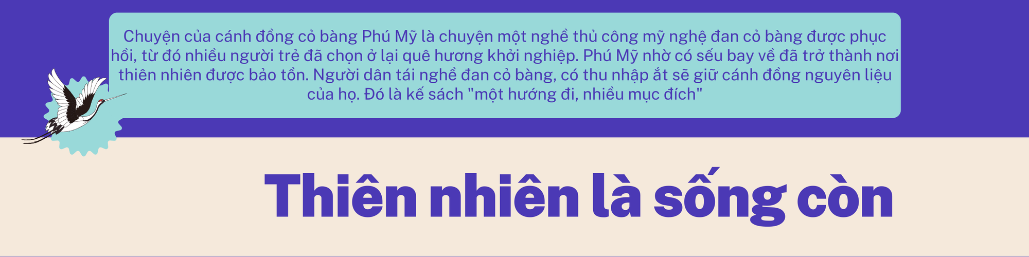Kiên Giang - Những người ngóng sếu bay về  - Ảnh 2.