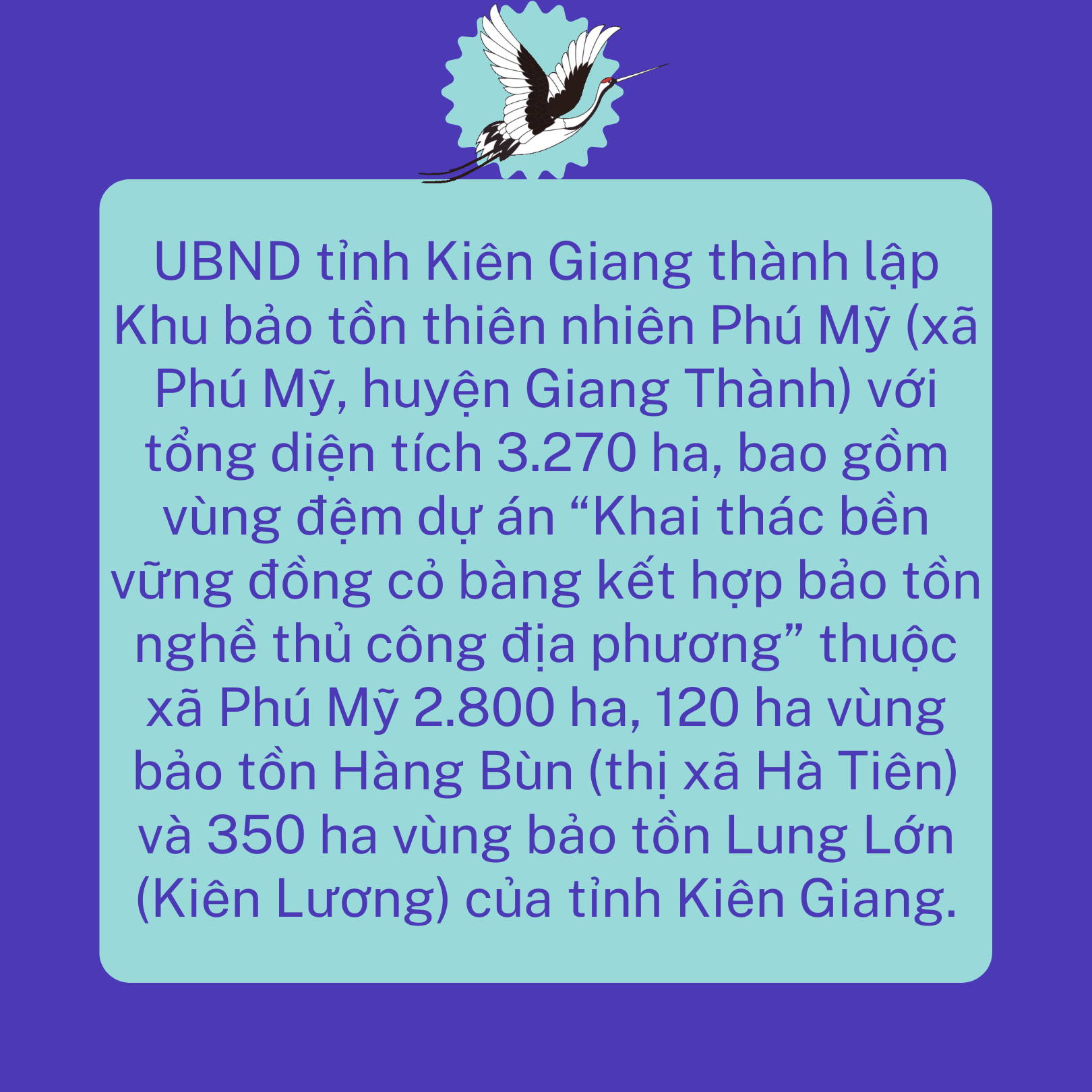 Kiên Giang - Những người ngóng sếu bay về  - Ảnh 9.