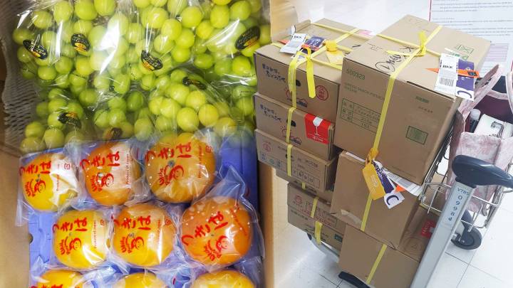 Du khách mang trái cây vào Thái Lan có thể bị phạt 1 năm tù - Ảnh 1.