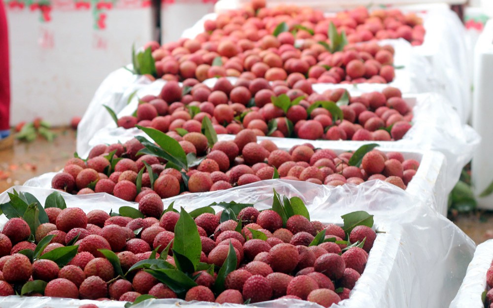 Nông sản Việt xuất khẩu sang Trung Quốc tăng mạnh