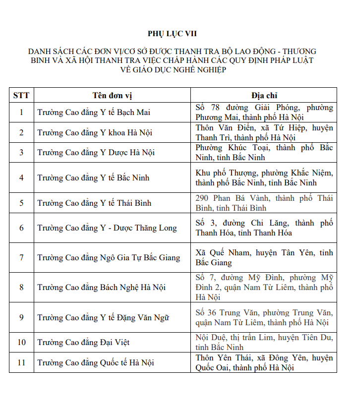 35 cơ sở giáo dục nghề nghiệp sẽ bị thanh tra năm 2023 - Ảnh 1.