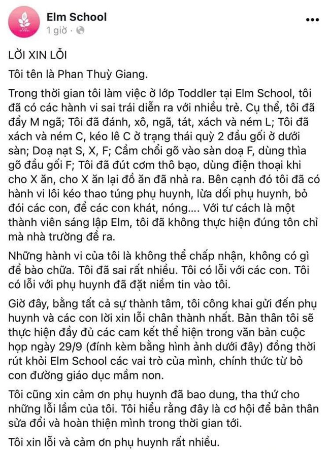 Vụ bạo hành trẻ mầm non tại Đà Nẵng: Nhóm trẻ xin giải thể - Ảnh 2.