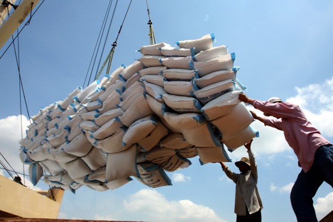 Indonesia nhập khẩu gạo 5.000 tấn từ Việt Nam  - Ảnh 1.