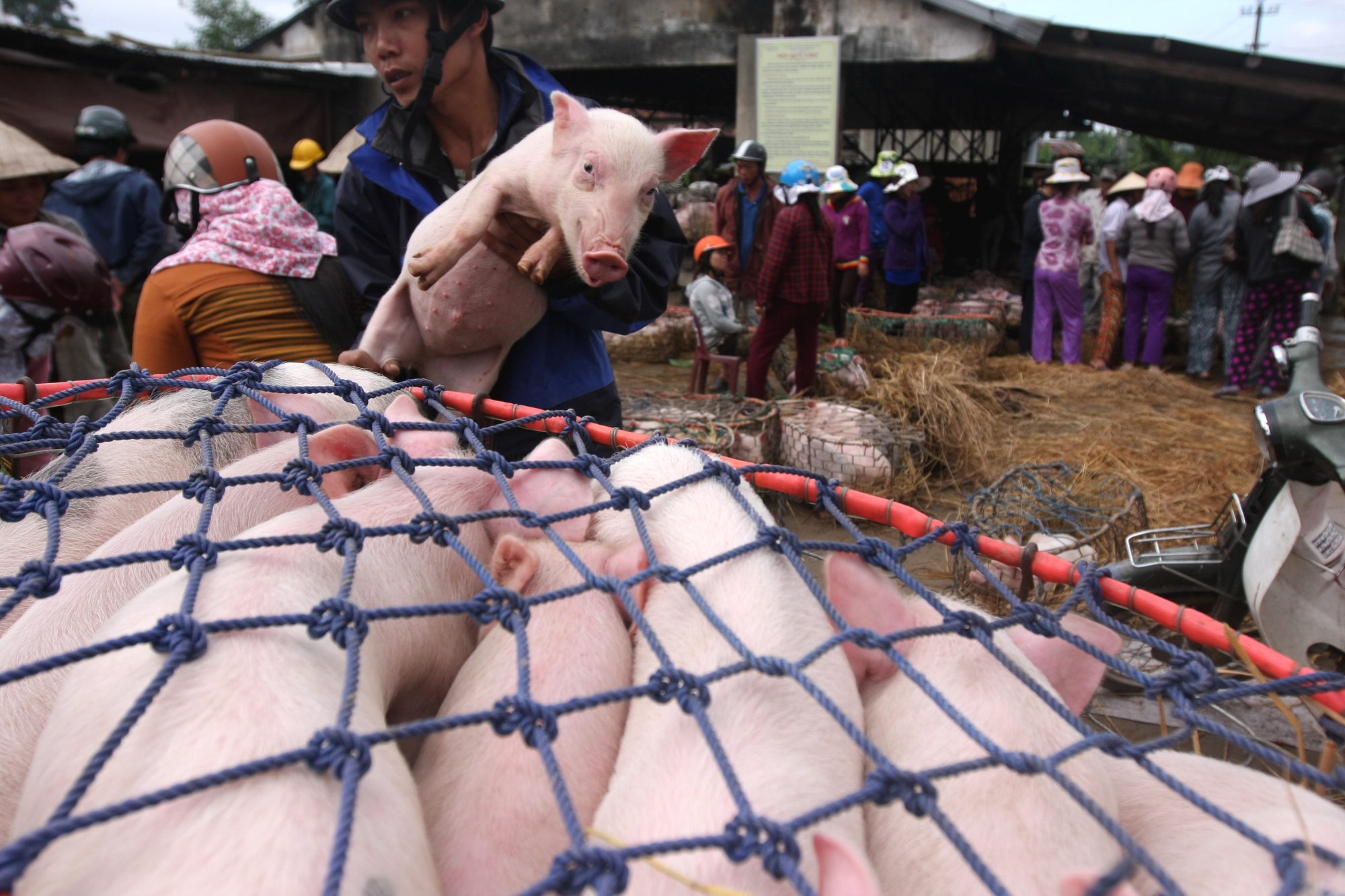 Chợ &quot;tiết kiệm&quot; - Ảnh 9.