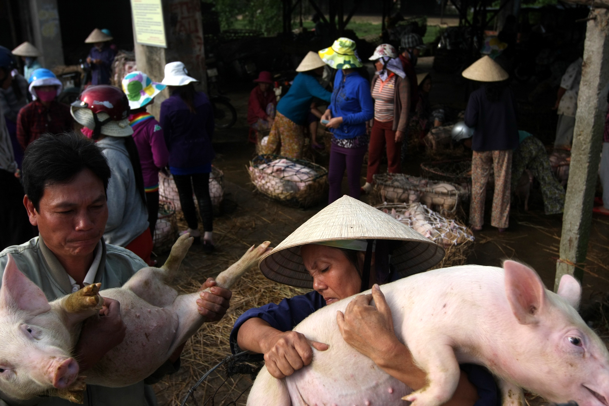 Chợ &quot;tiết kiệm&quot; - Ảnh 6.