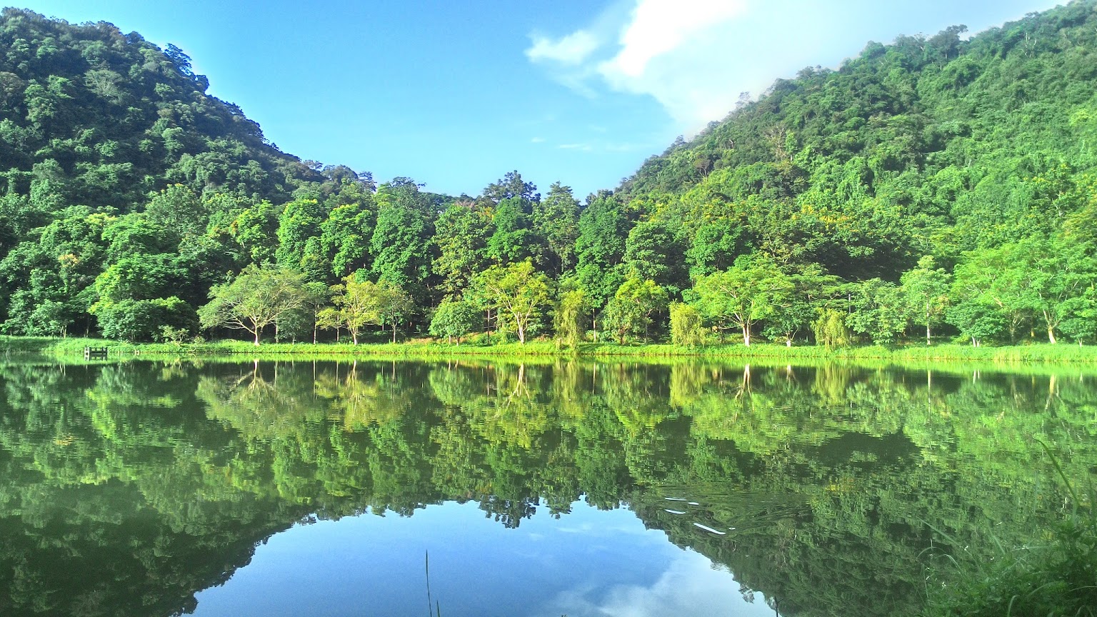 Vườn quốc gia Cúc Phương đón nhận Huân chương Lao động hạng Nhất - Ảnh 1.