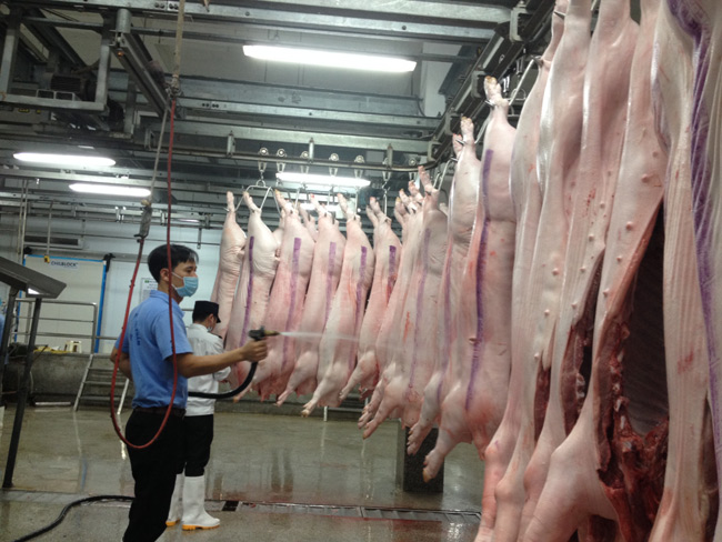 Mổ 10 con lợn ô nhiễm môi trường bằng sản xuất triệu lít bia - Ảnh 1.