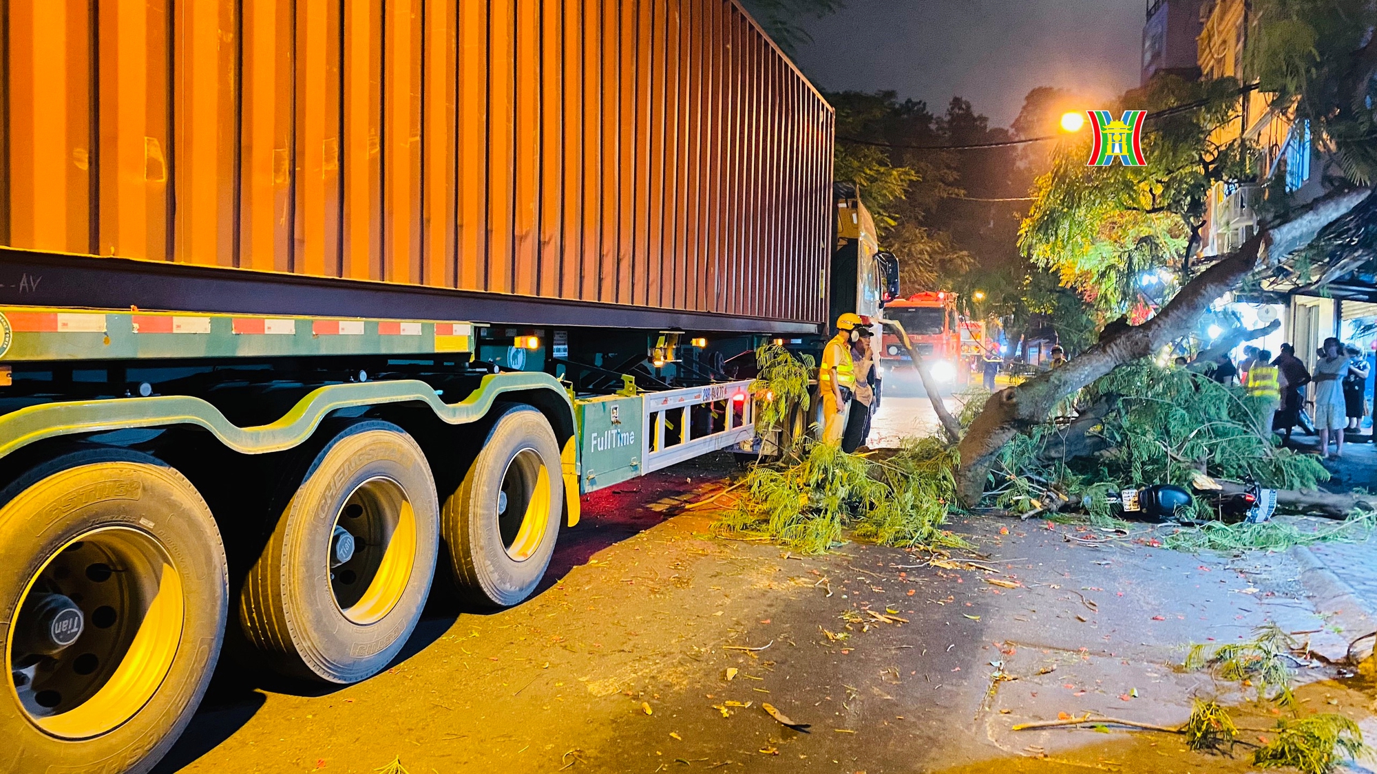 Hà Nội: Cành cây cổ thụ rơi trúng một học sinh - Ảnh 2.