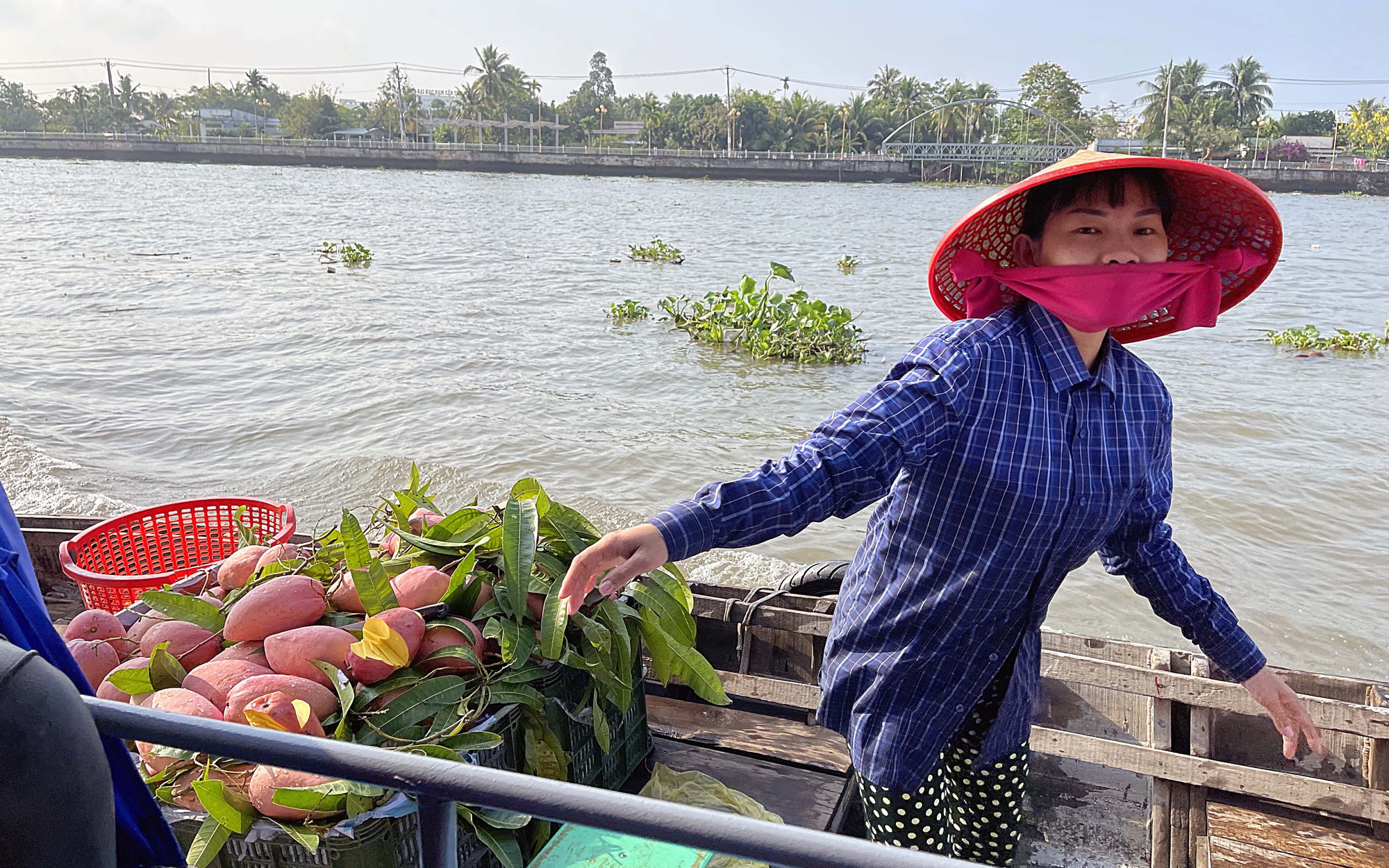 Du xuân Cần Thơ dịp Tết Nguyên đán có gì? - Ảnh 3.