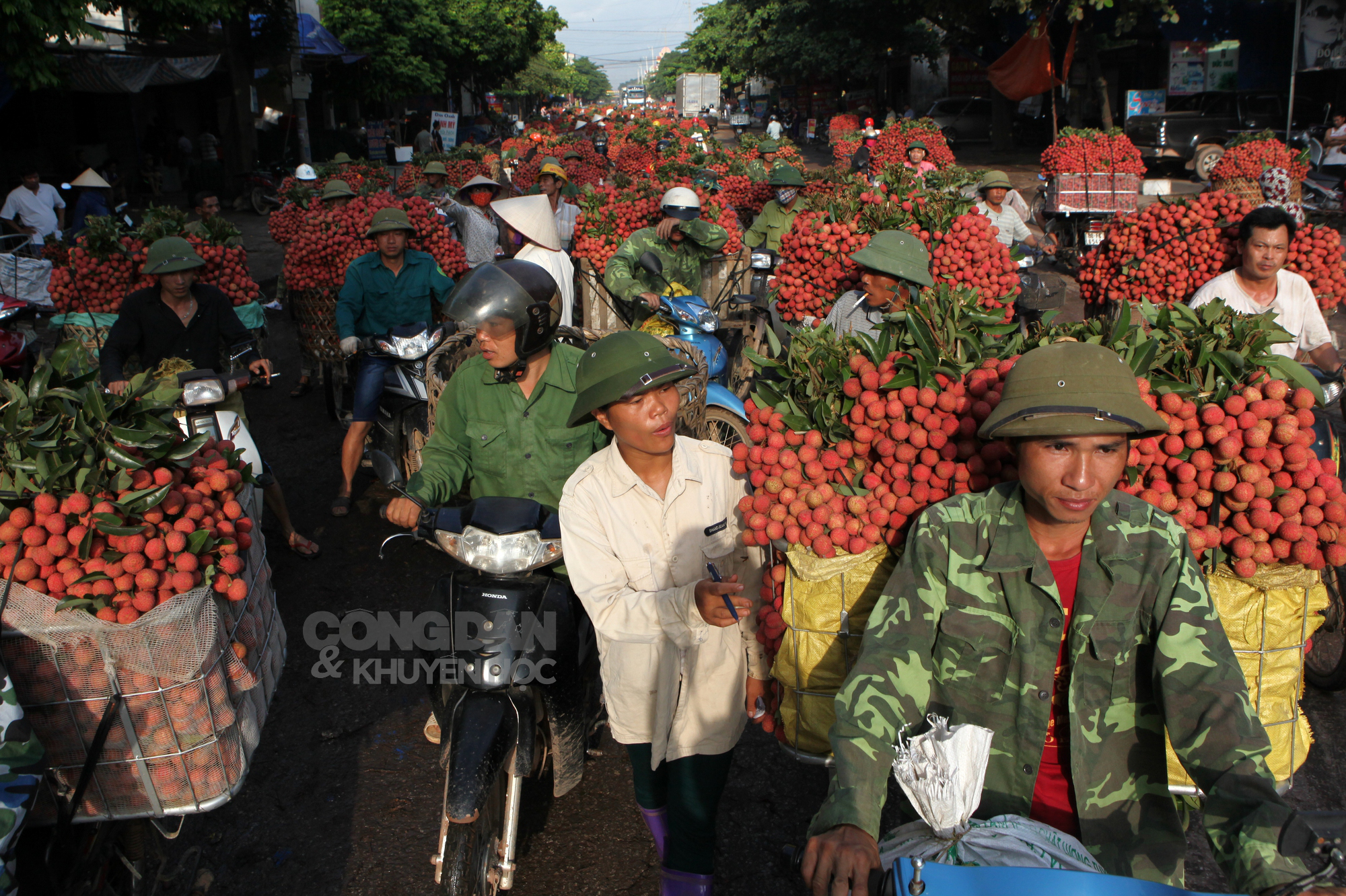 Mùa vải thiều năm nay &quot;lạ&quot; lắm  - Ảnh 10.