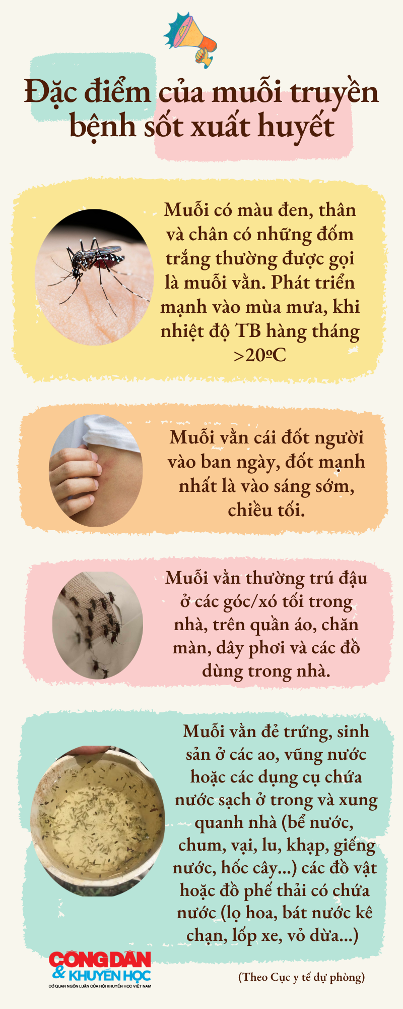 [Infographic] Đặc điểm của muỗi truyền bệnh sốt xuất huyết - Ảnh 1.