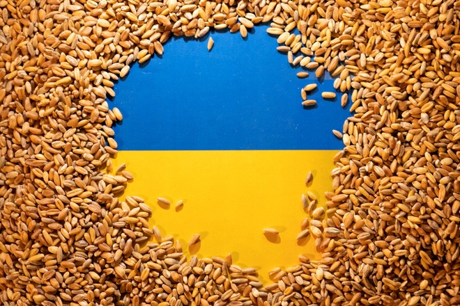 Thoả thuận bán lương thực của Ukraine - Ảnh 1.