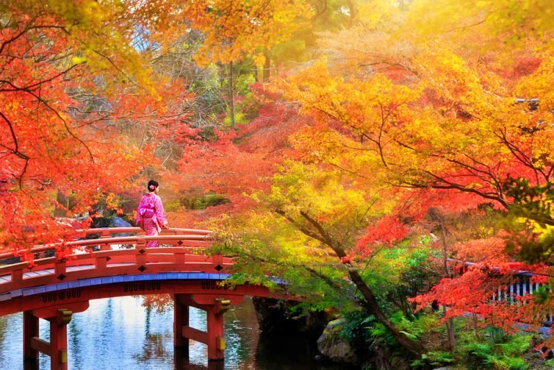 Cơ hội “săn” lá đỏ mùa Thu Nhật Bản trong tầm tay du khách quốc tế - Ảnh 4.