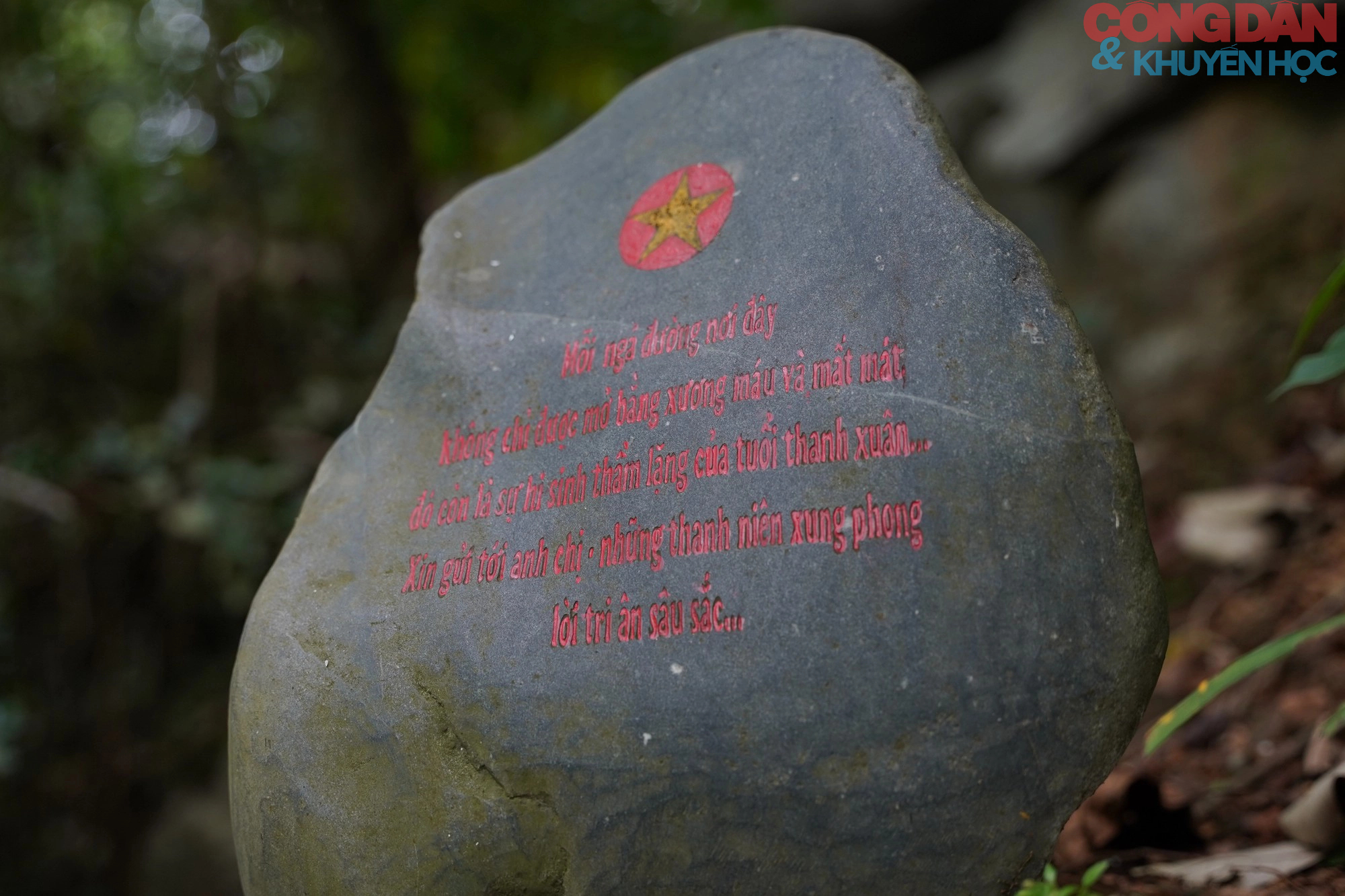 Hội Khuyến học Việt Nam dâng hương tưởng nhớ công lao các Anh hùng liệt sĩ tại Quảng Trị - Ảnh 7.