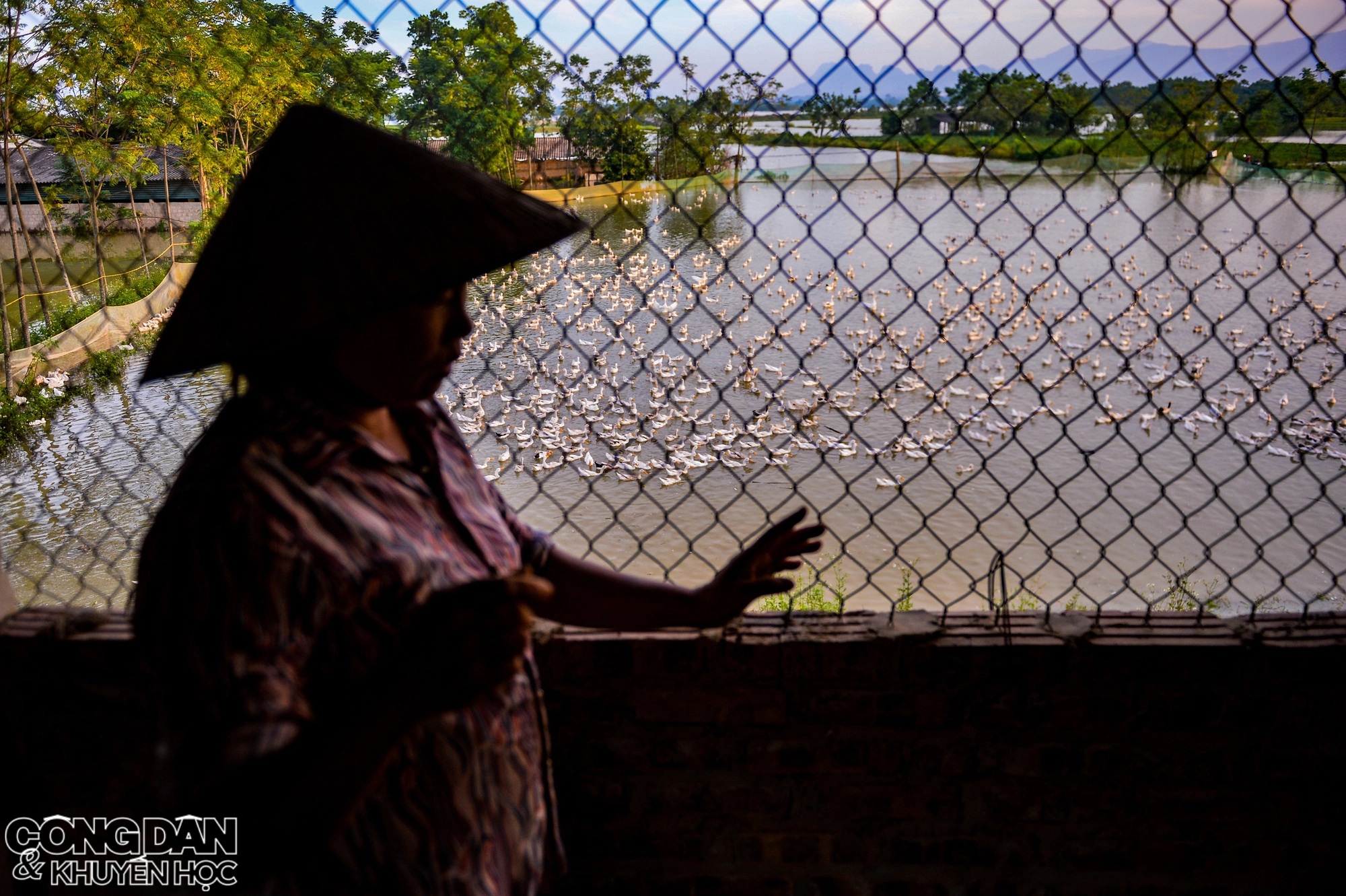 Hà Nội: Nhiều nơi ở huyện Chương Mỹ vẫn ngập nước, người dân chịu nhiều thiệt hại do lũ - Ảnh 9.