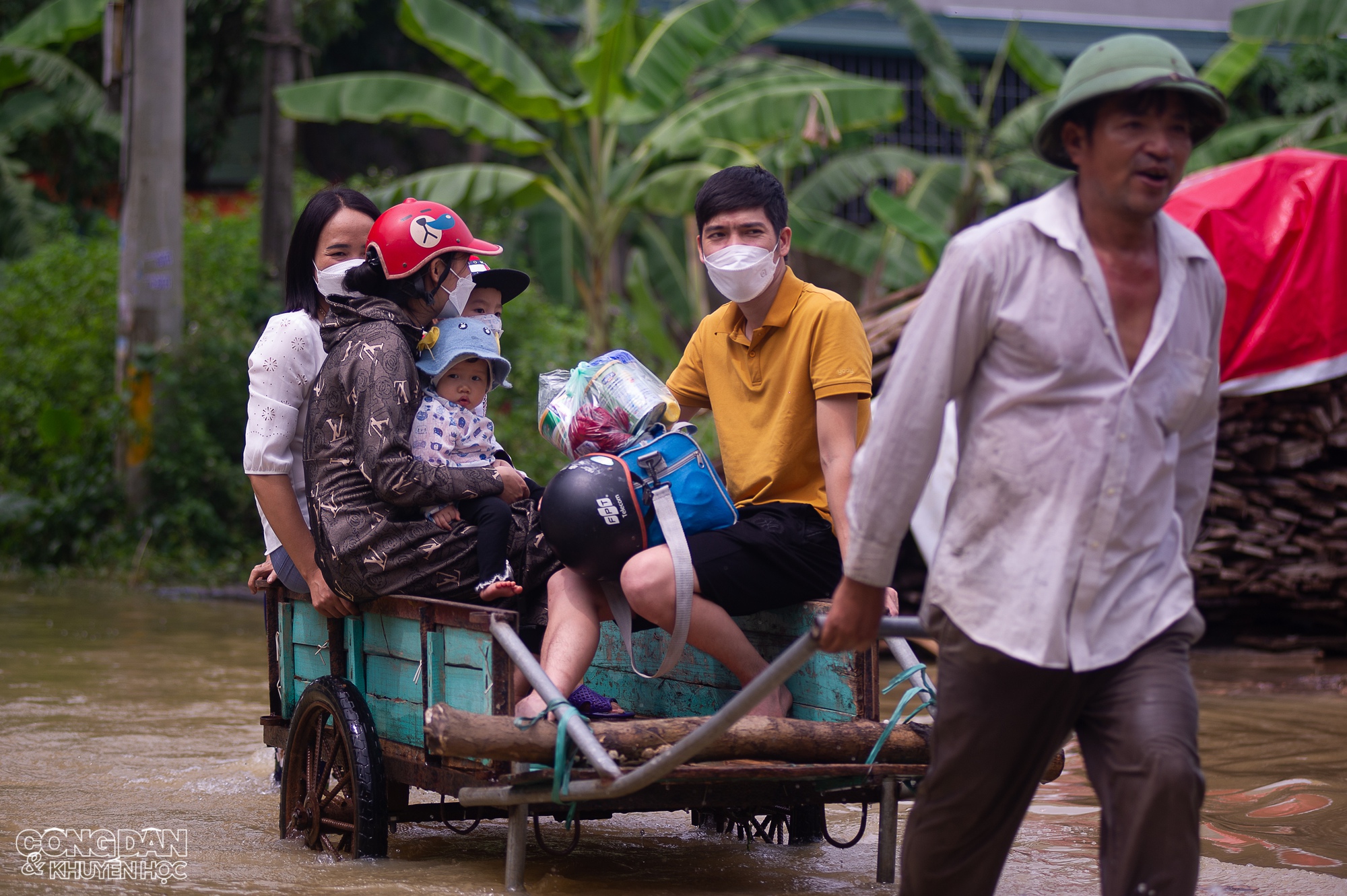 Hà Nội: Nhiều nơi ở huyện Chương Mỹ vẫn ngập nước, người dân chịu nhiều thiệt hại do lũ - Ảnh 12.