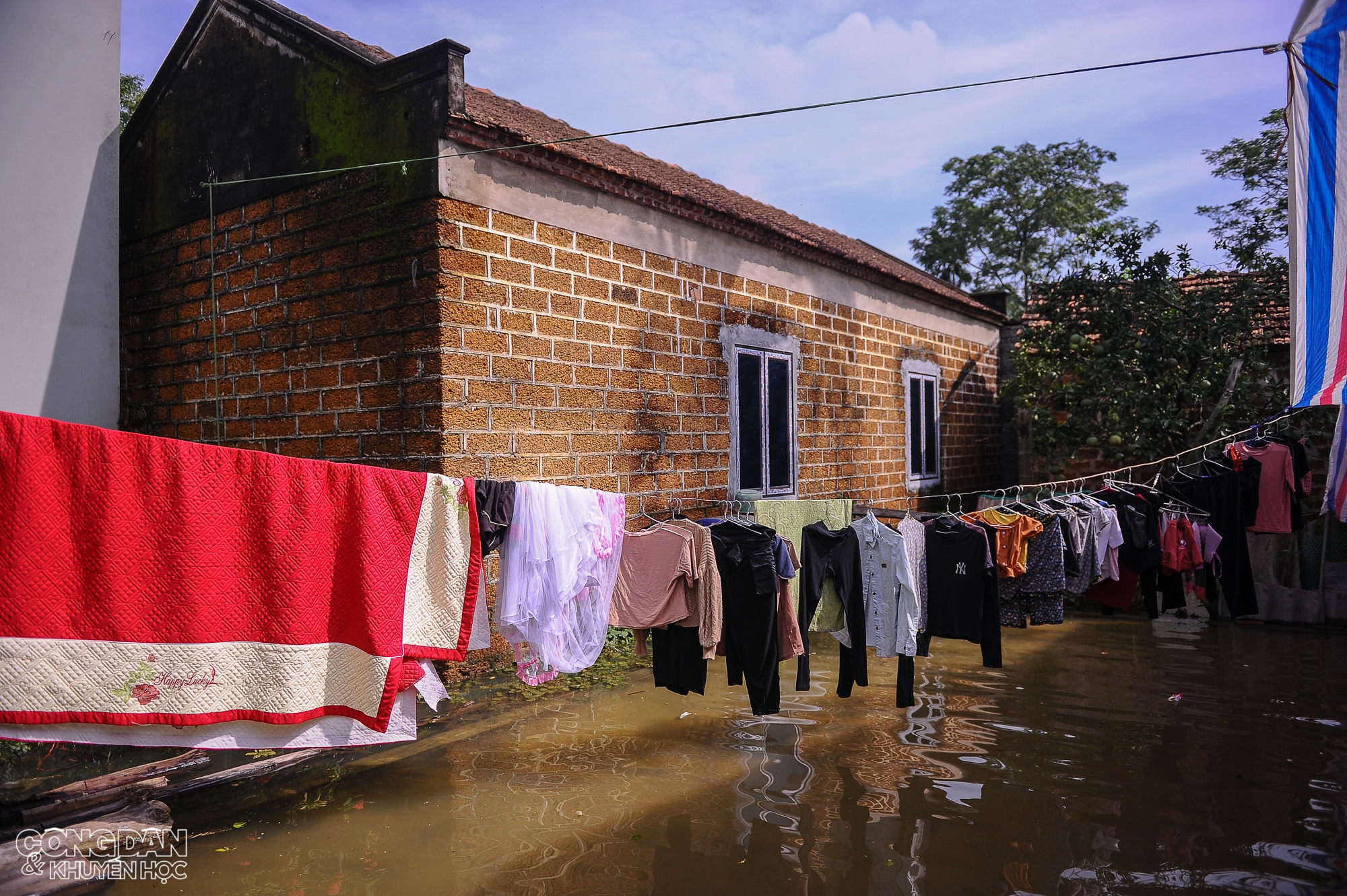 Hà Nội: Nhiều nơi ở huyện Chương Mỹ vẫn ngập nước, người dân chịu nhiều thiệt hại do lũ - Ảnh 2.