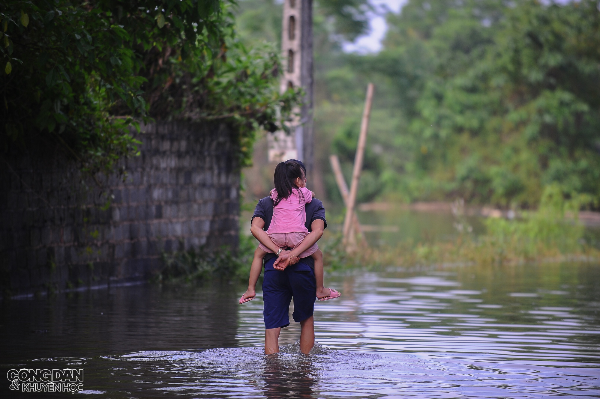 Hà Nội: Nhiều nơi ở huyện Chương Mỹ vẫn ngập nước, người dân chịu nhiều thiệt hại do lũ - Ảnh 1.