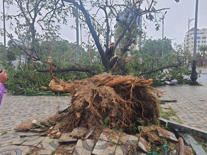 Chùm ảnh bão số 4 gây thiệt hại tại các địa phương - Ảnh 3.