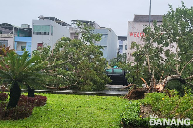 Chùm ảnh bão số 4 gây thiệt hại tại các địa phương - Ảnh 3.