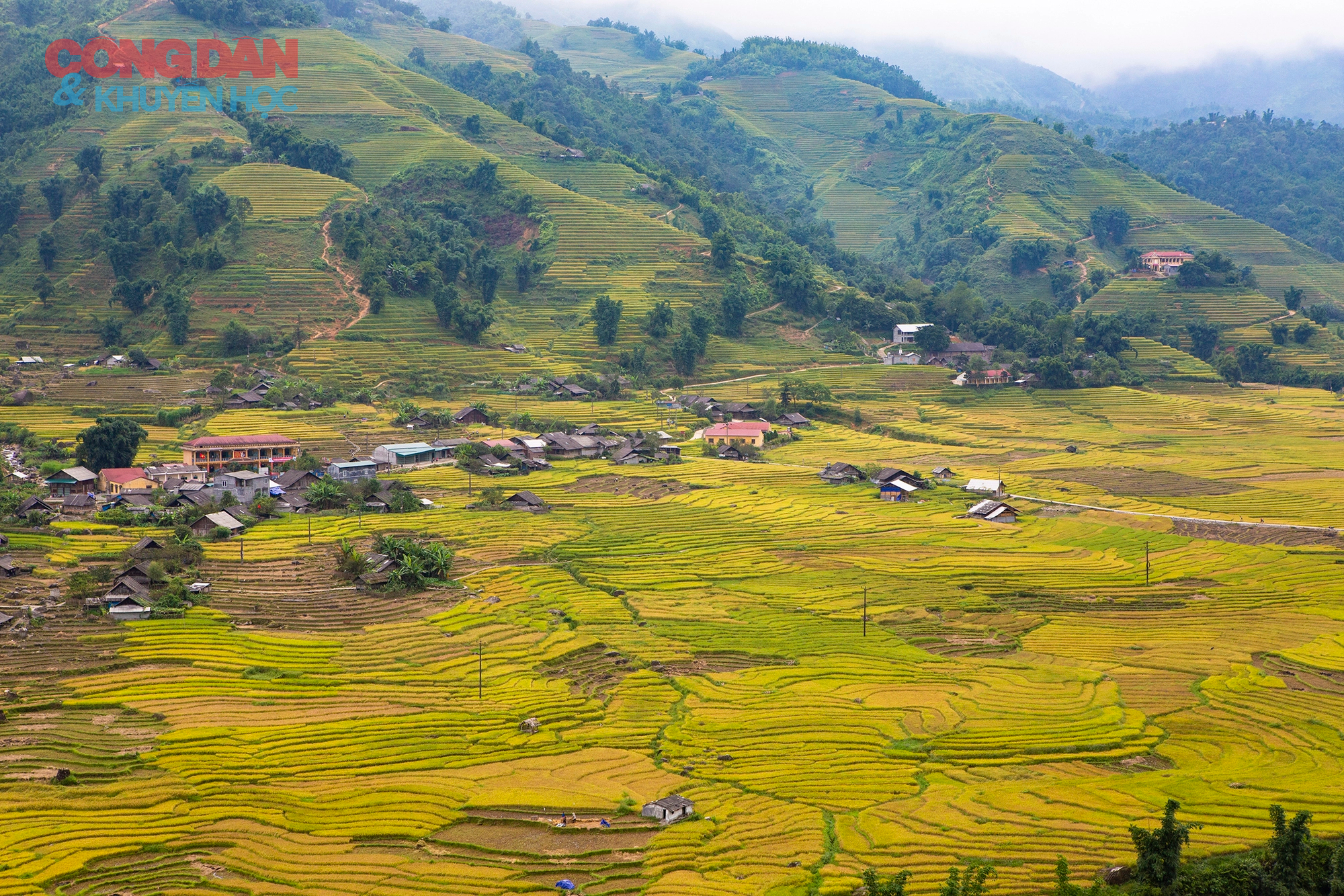 Sa Pa - mùa lúa chín - Ảnh 11.