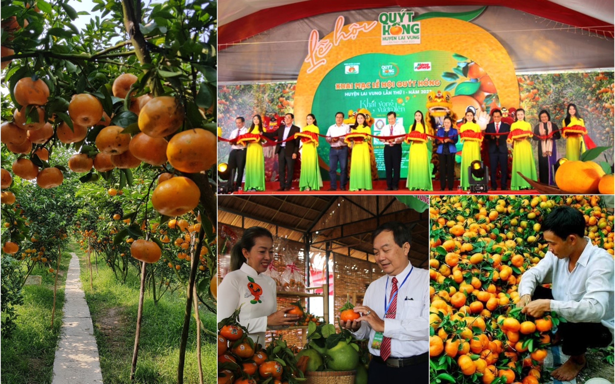 Lễ hội Quýt hồng Lai Vung mở ra hướng phát triển nông nghiệp cho Đồng Tháp