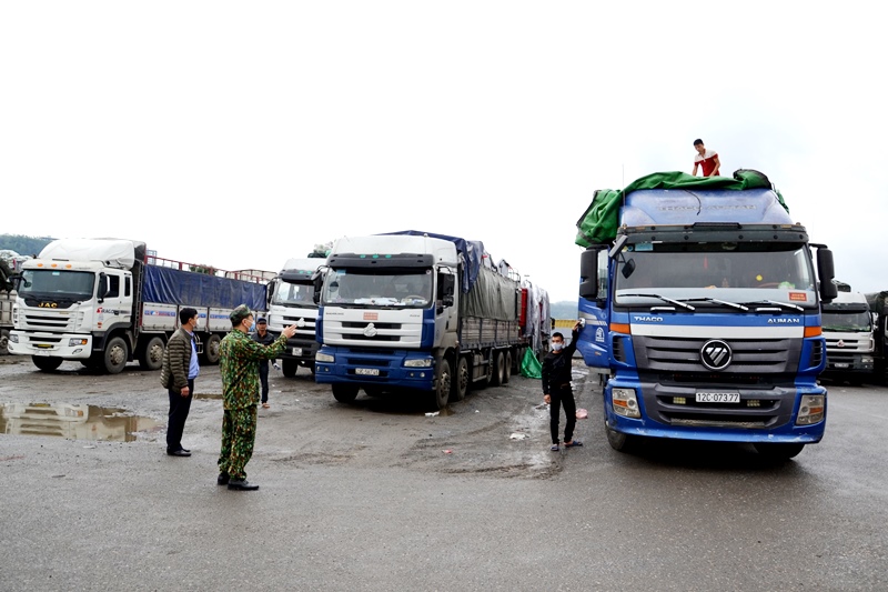 Mỗi ngày có hơn 400 tấn sầu riêng xuất khẩu sang Trung Quốc qua Cửa khẩu Lào Cai - Ảnh 3.