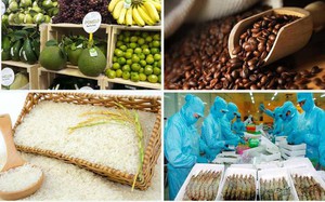 Hội chợ OCOP: Đặc sản Việt rộn ràng “xuất ngoại” - Ảnh 1.