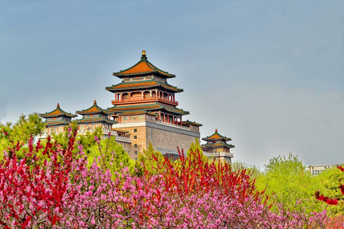 Ngỡ ngàng trước vẻ đẹp của loài hoa đi vào thơ ca Trung Quốc trong nhiều thế kỷ - Ảnh 12.