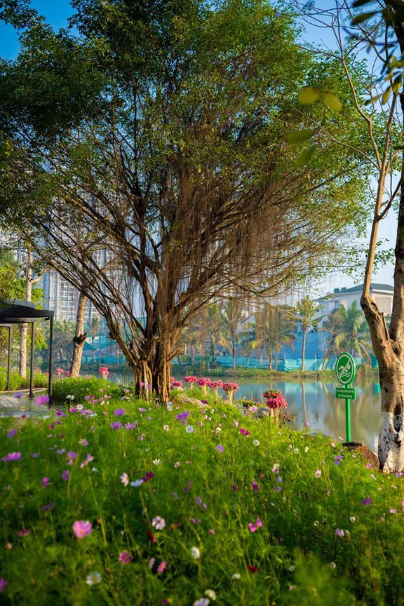 Ecopark đưa vào hoạt động cung đường dạo bộ đẹp nhất miền Bắc - Ảnh 9.