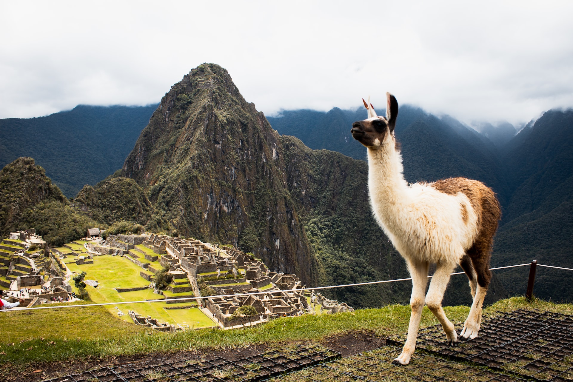 Machu Picchu: 1 trong 7 kỳ quan thế giới mới – địa điểm vừa bị đóng cửa vô thời hạn - Ảnh 9.