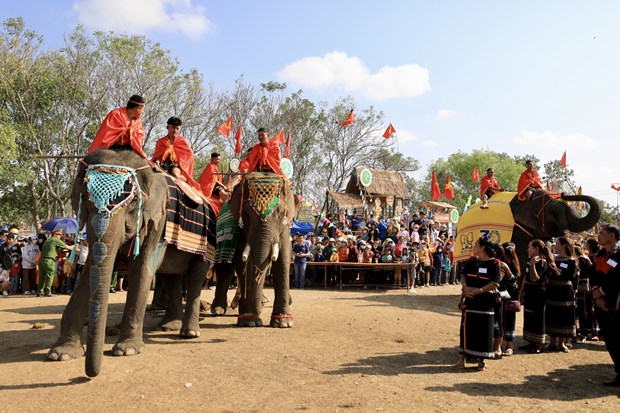 Lễ hội Cà phê Buôn Ma Thuột 2023: Ấn tượng Hội voi và Lễ hội Văn hóa truyền thống huyện Buôn Đôn - Ảnh 1.