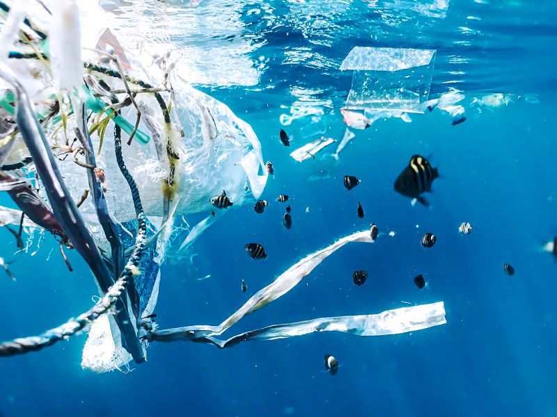 Ô nhiễm vi nhựa tại các đại dương đang tăng với cấp số nhân - Ảnh 1.