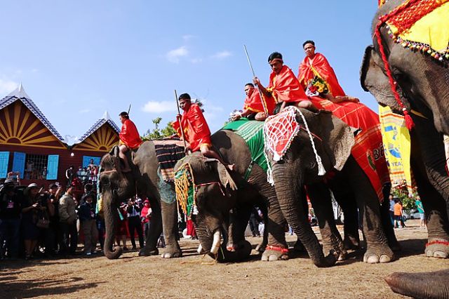 Lễ hội Cà phê Buôn Ma Thuột 2023: Ấn tượng Hội voi và Lễ hội Văn hóa truyền thống huyện Buôn Đôn - Ảnh 4.