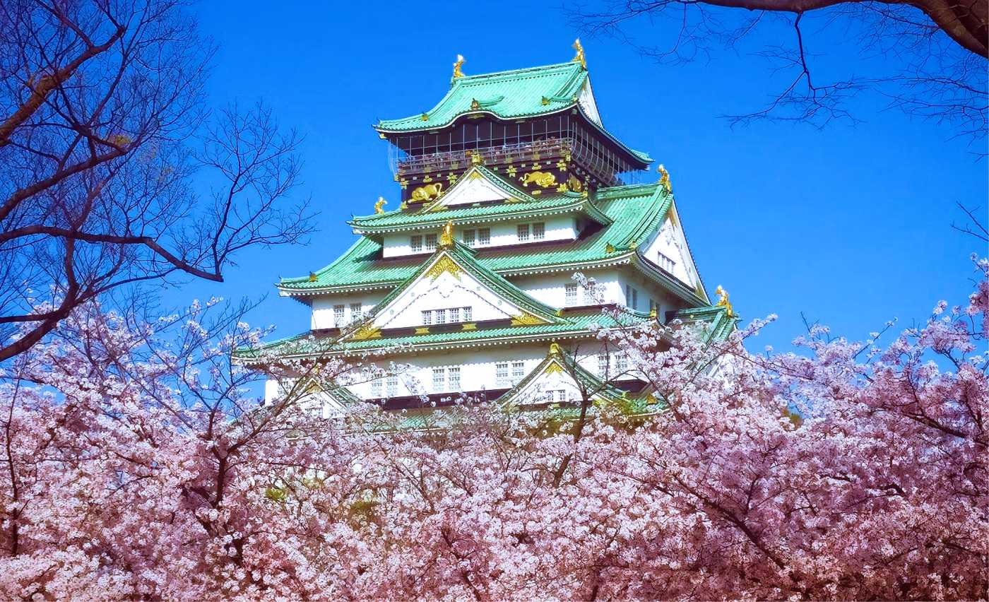 Đến Osaka - ngắm hoa anh đào bừng nở tại thành phố sôi động bậc nhất Nhật Bản - Ảnh 12.