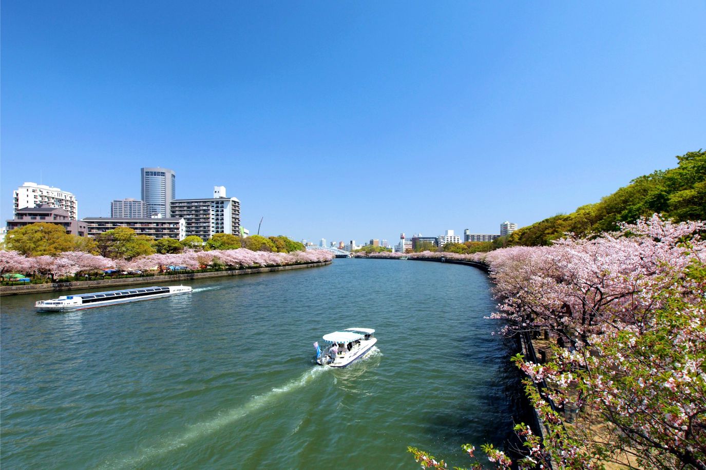 Đến Osaka - ngắm hoa anh đào bừng nở tại thành phố sôi động bậc nhất Nhật Bản - Ảnh 4.