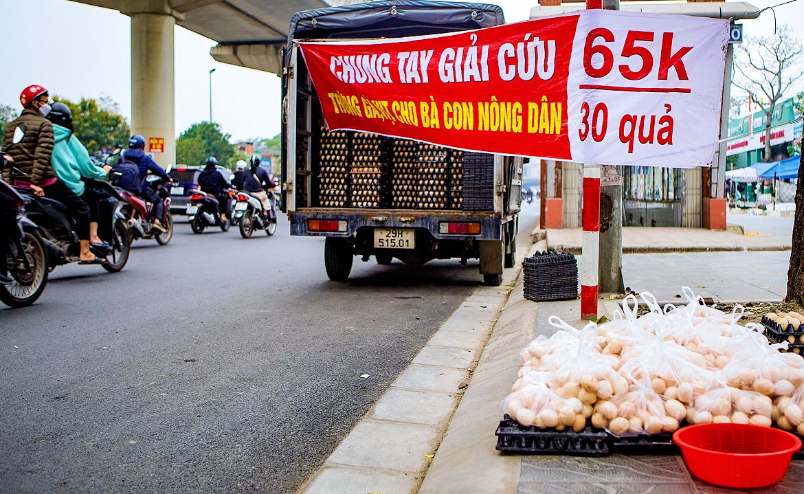 Trứng gà thành món xa xỉ ở nhiều nước trong khi tại Việt Nam chất đống vỉa hè, gắn mác giải cứu - Ảnh 3.