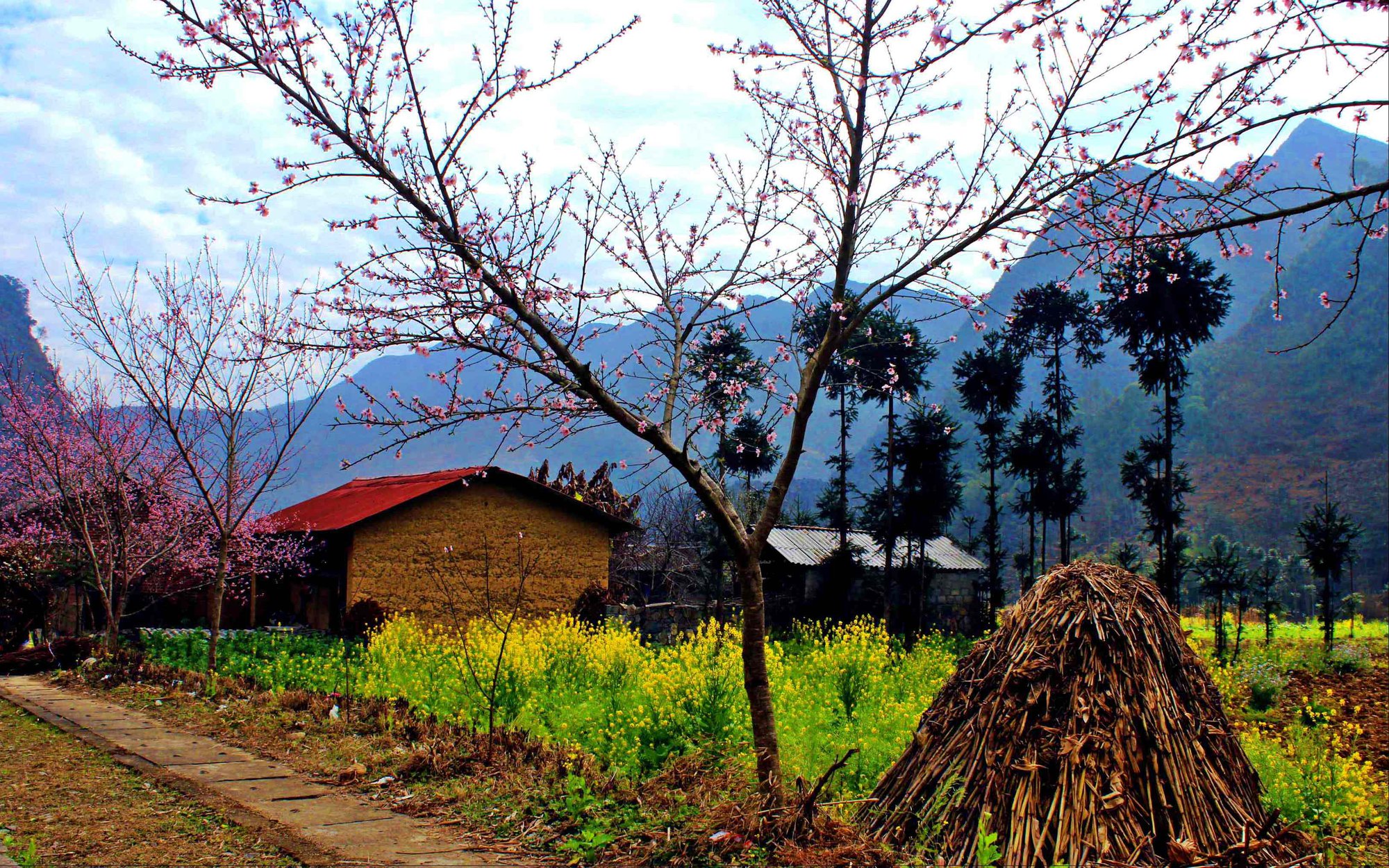C&ocirc;ng vi&ecirc;n xanh cũng tiềm ẩn mầm bệnh ung thư, v&igrave; đ&acirc;u? - Ảnh 2.
