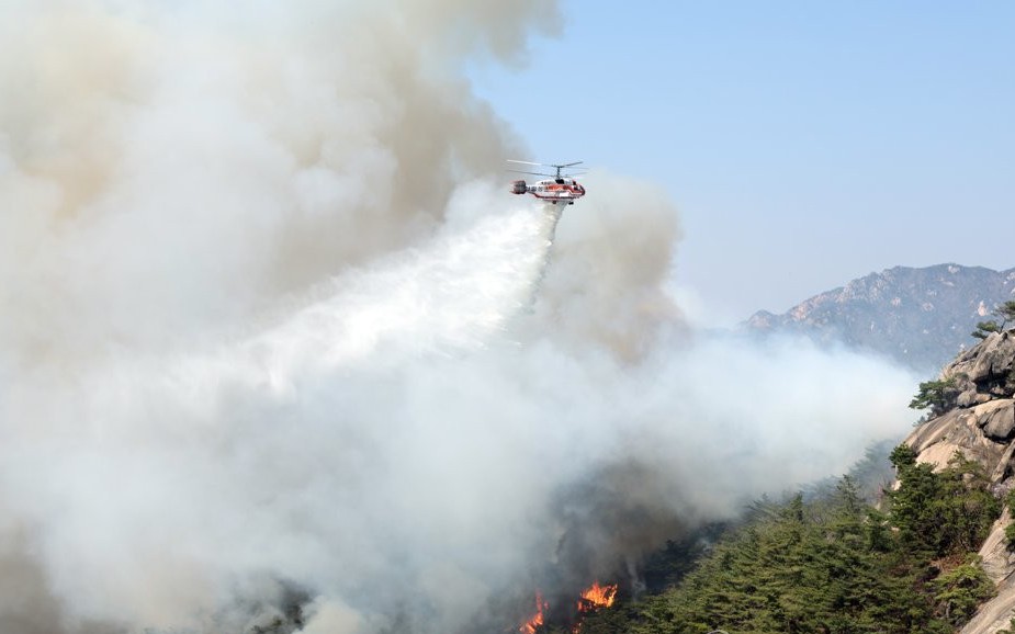 Tổng thống Hàn Quốc ra lệnh dốc toàn lực chống cháy rừng mùa xuân