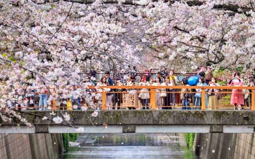 Du lịch Nhật Bản được kỳ vọng &quot;bứt phá&quot; trước thềm cao điểm Hè 2023 - Ảnh 2.