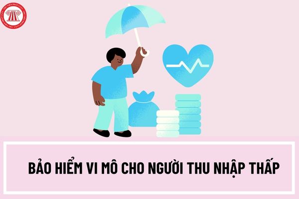 Nghị định 21: Tạo điều kiện mua bảo hiểm cho người có thu nhập thấp - Ảnh 1.