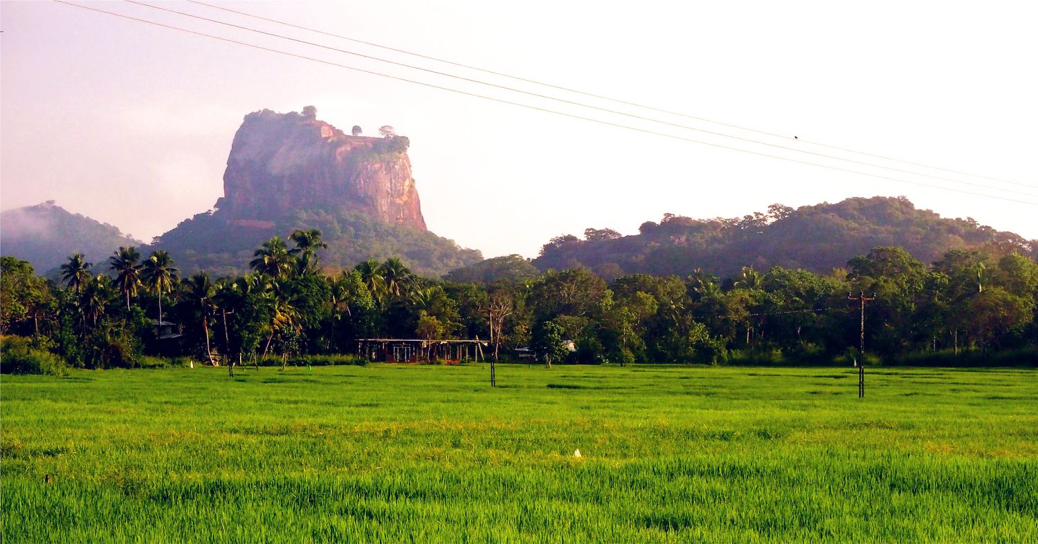 Ngắm thành phố với những khu vườn đẹp như cổ tích tại Sri Lanka   - Ảnh 7.