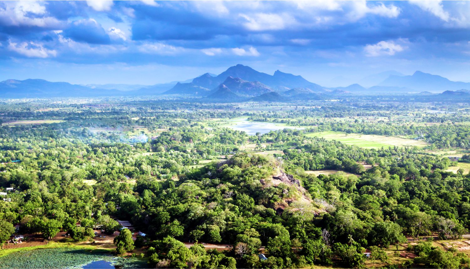 Ngắm thành phố với những khu vườn đẹp như cổ tích tại Sri Lanka   - Ảnh 9.