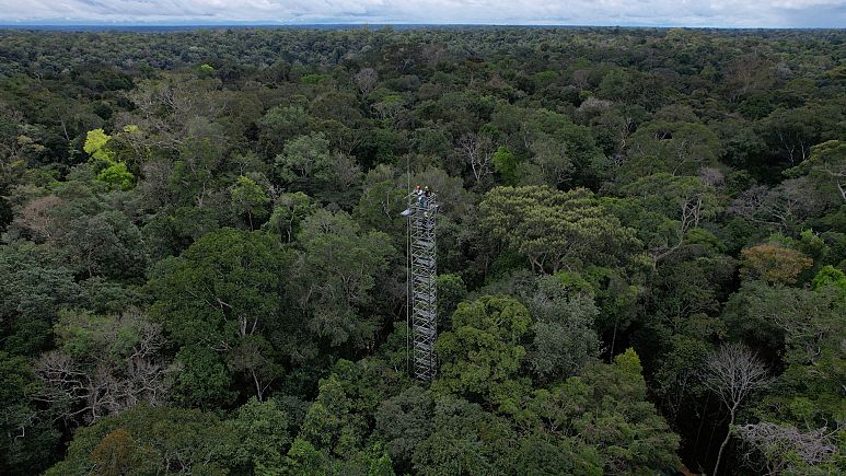 Brazil phun khí CO2 vào rừng Amazon để mô phỏng biến đổi khí hậu - Ảnh 1.