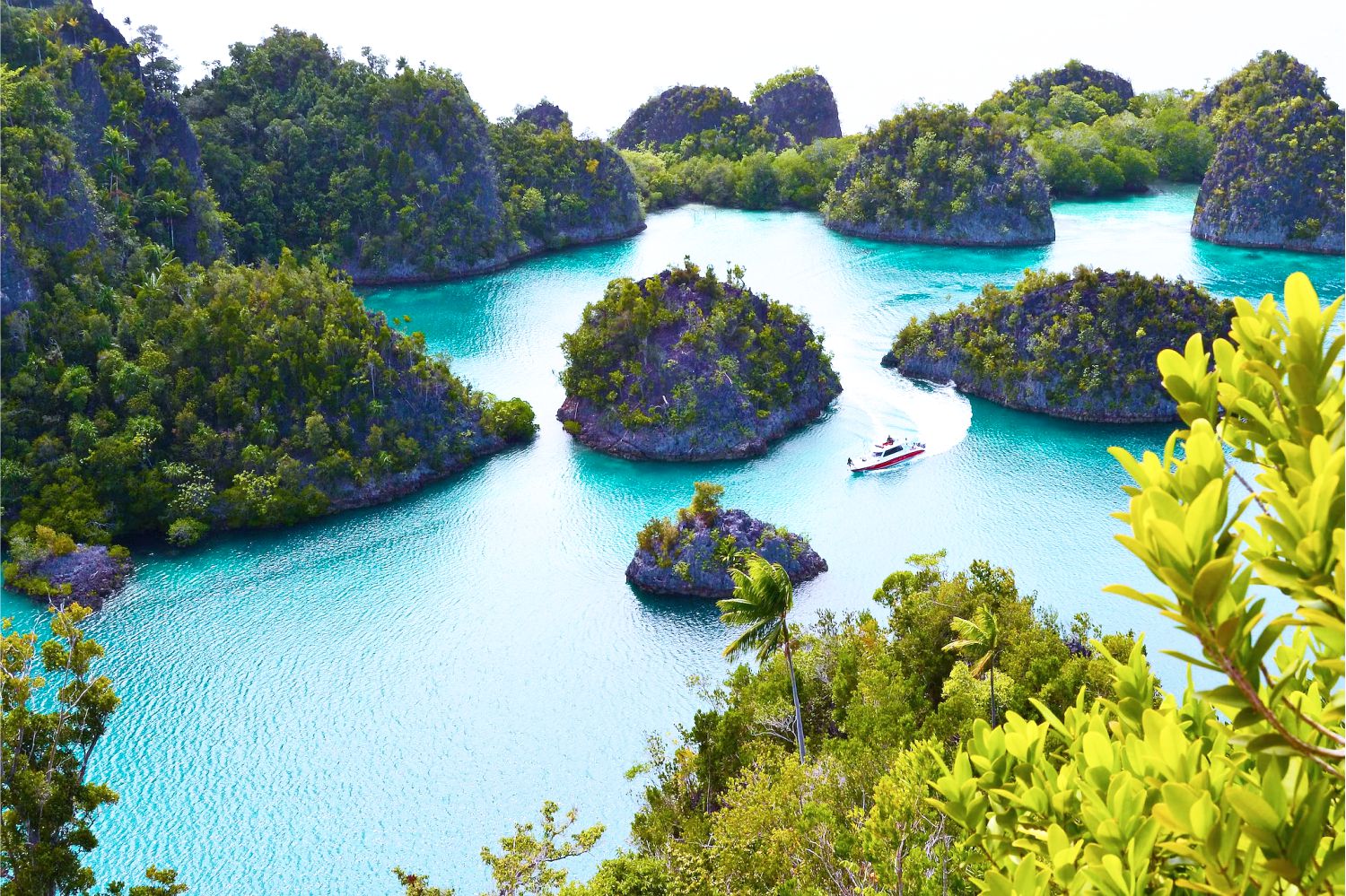 Khám phá vẻ đẹp hoang sơ của thiên đường còn sót lại trên Trái Đất tại Indonesia - Ảnh 1.